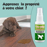 PETPOT™ : Spray Attractif Éducateur pour Animaux de Compagnie